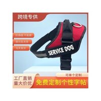 Dây đai cho chó ICE DOG Đức cho chó vừa và lớn, dây xích chó K9 chống đứt, đồ dùng cho thú cưng