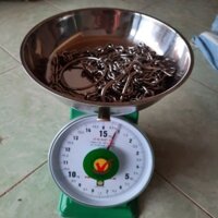 Dây dắt chó, dây xích chó Inox size đại dài 2 mét chuyên dùng cho chó tên 40 kg
