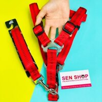 Dây dắt chó lớn dạng yên ngựa