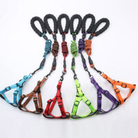 Dây Dắt Chó & Vòng Đai Ngực – Mã VCDD112