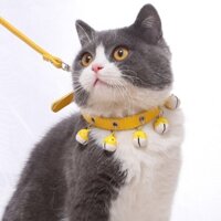 DÂY DẮT KÈM VÒNG CỔ CÓ CHUÔNG CHÓ MÈO