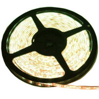 Dây Đèn LED Dán 12V 5M 5050 - Ánh Sáng Trắng/ Vàng ( Không keo)