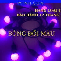 Dây đèn led đổi màu trang trí ngoài trời, dây đui pingpong chịu nước tuyệt đối