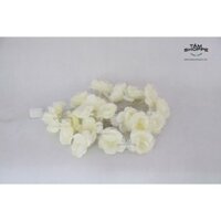 Dây đèn Led Hoa hồng lụa dạ quang Màu Trắng TTTM