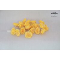 Dây đèn Led Hoa hồng lụa  Màu Vàng TTTM