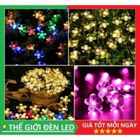 Dây đèn LED hoa mai hoa đào 7M, 10M vàng, đủ màu trang trí nhà cửa lễ tết (cắm điện trực tiếp)