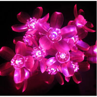 Dây Đèn Led Hoa Mai Hoa Đào 6M-40 Bóng Chớp Màu Trang Trí Lễ, Tết ,Party - Hoa Đào