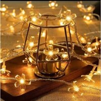 Dây Đèn Led Hoa Mai Trang Trí Decor Tết, Chiều Dài 7m Sử Dụng Năng Lượng Mặt Trời