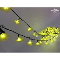 Dây đèn led Hoa mai vàng 10m TAN