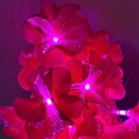 DÂY ĐÈN LED HOA TRANG TRÍ DÀI 5 MÉT 20 HOA