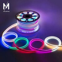 Dây đèn LED Neon 8x16mm 220V vàng ấm cuộn 5m có nối nguồn sẵn, trang trí hắt trần, viền sáng đồ nội thất, ngoài trời