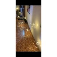 Dây đèn led pháo hoa trang trí 5bông,10 bông