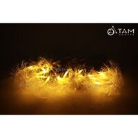Dây đèn led sợi quang học vàng ấm TAN