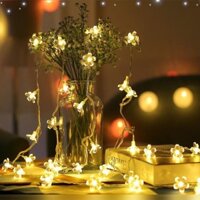 Dây Đèn Led Trang Trí 50 Bóng Vàng Hoa Mai Hoa Đào Rực Rỡ