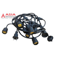 Dây đèn LED trang trí có đui Asia DTT5M-01