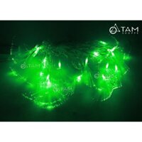 Dây đèn led trang trí noel sợi quang học 5m 20led Xanh Lá TTTM
