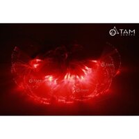 Dây đèn led trang trí noel sợi quang học 5m 20led Màu Đỏ TTTM