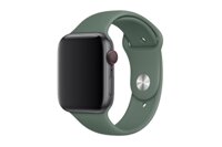 Dây đeo Apple Watch Sport Band 44mm Pine Green - S/M & M/L