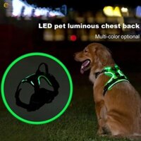 Dây đeo ngực thú cưng phát sáng ECHOG, Dây nịt chó LED nhấp nháy phát sáng, Áo Vest phát sáng chó có thể sạc lại mềm mại bền bỉ để đi bộ ban đêm