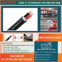 Dây điện Cadivi CVV/DSTA 2×16 – 0.6/1kV – Giải Pháp Hoàn Hảo Cho Kết Nối Điện An Toàn và Hiệu Quả