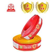 Dây Điện Dẹt  2×4.0mm Cadisun