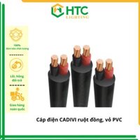 Dây Điện đôi có vỏ bọc PVC Cadivi CVV 2 x 1.5, 2.5, 4.0, 6.0, CVV 2x10 - Hàng chính hãng CADIVI Lẻ 1m-5m-20m - 20m - CVV 2x2.5