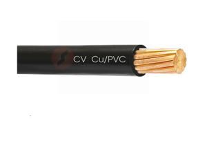 Dây điện đơn CU/PVC 0,6/1kV Cadivi CV-25