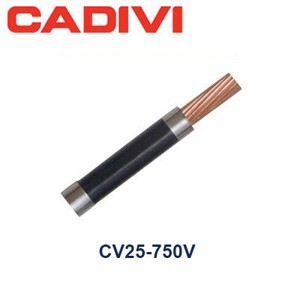 Dây điện đơn CU/PVC 0,6/1kV Cadivi CV-25