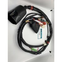 DÂY ĐIỆN SƯỜN WAVE @ 2001-2007,WAVE TRUNG QUỐC(LIÊN DOANH),WAVE 110 THÁI(Z ZX GẮN ZIN THEO XE SẢN PHẨM CHẤT LƯỢNG UY TÍN