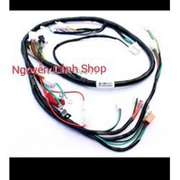 dây điện sườn xe citi hiệu liko