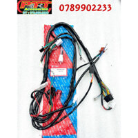 DÂY ĐIỆN SƯỜN XE MAX ( TRUNG QUỐC )