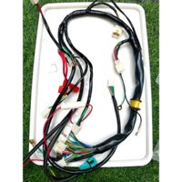 Dây Điện Sườn Xe Máy,Bộ Dây Điện Sườn Xe Máy,Dây điện Sườn Xe Drem Wave,Si Nhật,Rs,Ws110