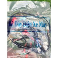 Dây Điện Sườn Xe Máy,Bộ Dây Điện Sườn Xe Máy,Dây điện Sườn Cho Xe Drem, Wave,Si Nhật,RS,Ws110