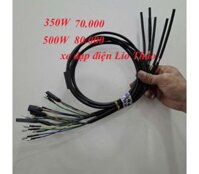 DÂY ĐỘNG CƠ 350W,500W,800W