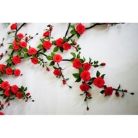 Dây hoa hồng leo giấy gắn tường.