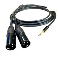 Dây Jack 3 ly ra 2 đầu Jack canon đực dài 3m