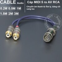 Dây jack 5 chân sang AV chuyển âm thanh từ Âm ly cổ Châu Âu sang loa - DIY 5 pin to 2 RCA female MIDI audio cable