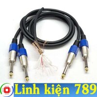 Dây jack 6 ly ra 6 ly dài 1m (2 dây) - Linh kiện 789