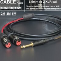 Dây jack 6.5 sang 2 canon cái DIY 0.5 đến 5 mét - 6.35mm mono to 2 XLR female audio cable