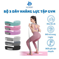 Dây Kháng Lực, Bộ 3 Dây Đàn Hồi Tập Gym Yoga Aolikes AL3609 Cao Cấp Chính Hãng