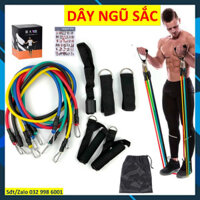 Dây kháng lực Đàn hồi 11 món tập gym tại nhà Bộ dây ngũ sắc tập Gym ddcg11 tập toàn thân nhiều mức