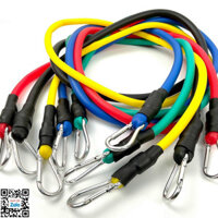 Dây kháng lực Đàn hồi 11 món tập gym tại nhà Bộ dây ngũ sắc tập Gym tdcs11 tập toàn thân nhiều mức