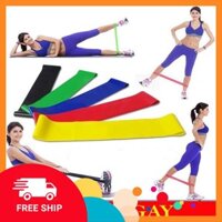Dây Kháng Lực miniband Hỗ Trợ Tập Thể Thao, dây tập mông đùi cao su hãng Liforme/Relax