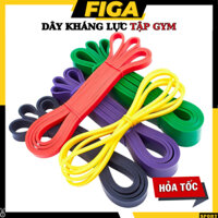 Dây kháng lực power band FIGA tập yoga gym tập tay chân toàn thân dây thun cao su đàn hồi trợ lực kéo xà DT05 - Hàng mới