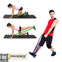 Dây kháng lực toàn thân Power band Proesce btxd11 Dây cao su tập đa năng powerband hỗ trợ lên xà