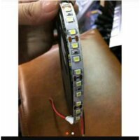 Dây led 3528 12v không keo chống nước có 120 bóng led