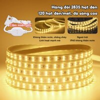 DÂY LED 5050 SIÊU SÁNG CHÔNG NƯỚC - ĐÈN LED TRANG TRÍ NGOÀI TRỜI  CHỐNG NƯỚC
