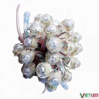 DÂY LED F20 FULL MÀU IC 8208 TỰ CHẠY HIỆU ỨNG KHÔNG CẦN MẠCH ĐIỀU KHIỂN.