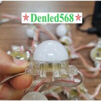 Dây led F30 IC8206 30 cụm bóng Full màu tự chạy hiệu ứng không cần mạch điều khiển