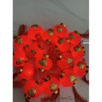 Dây led lồng đèn đỏ có chữ phúc dài 5m 12 quả.